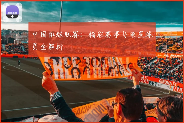 中国排球联赛：精彩赛事与明星球员全解析