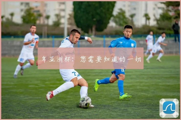 年亚洲杯：您需要知道的一切