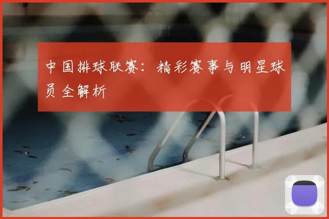 中国排球联赛：精彩赛事与明星球员全解析